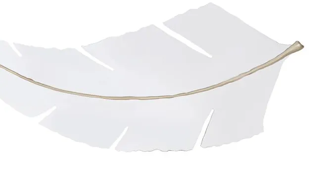 Caracole CLA-419-046 Im Frond Of You Mirror Caracole CLA-419-046 Im Frond Of You Mirror