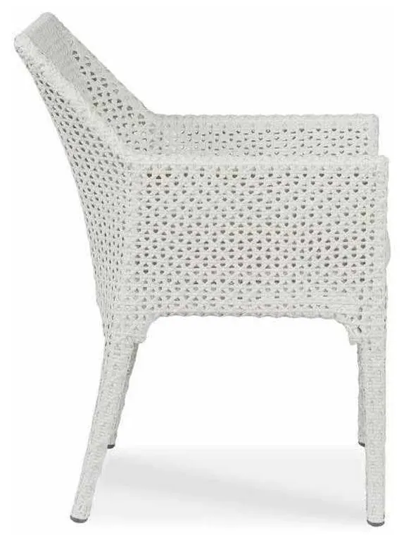 Century D44-52 Tangier Dining Arm Chair Century D44-52 Tangier Dining Arm Chair