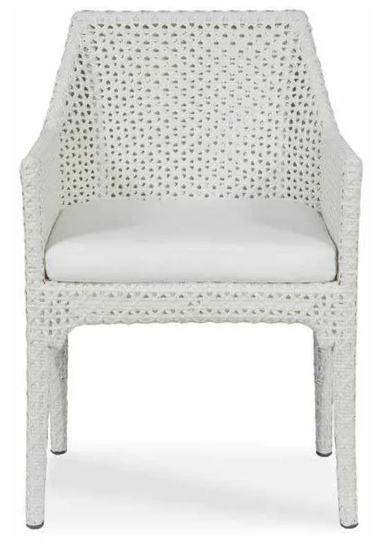 Century D44-52 Tangier Dining Arm Chair Century D44-52 Tangier Dining Arm Chair