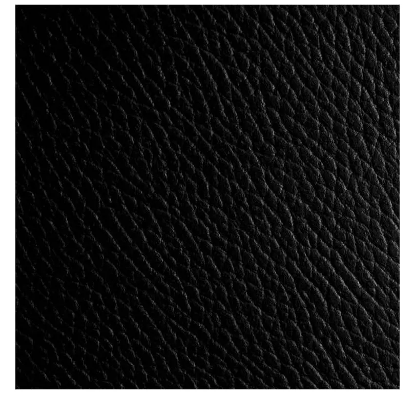 Eichholtz 117847 Butler Tray Monarch Eichholtz 117847 Butler Tray Monarch