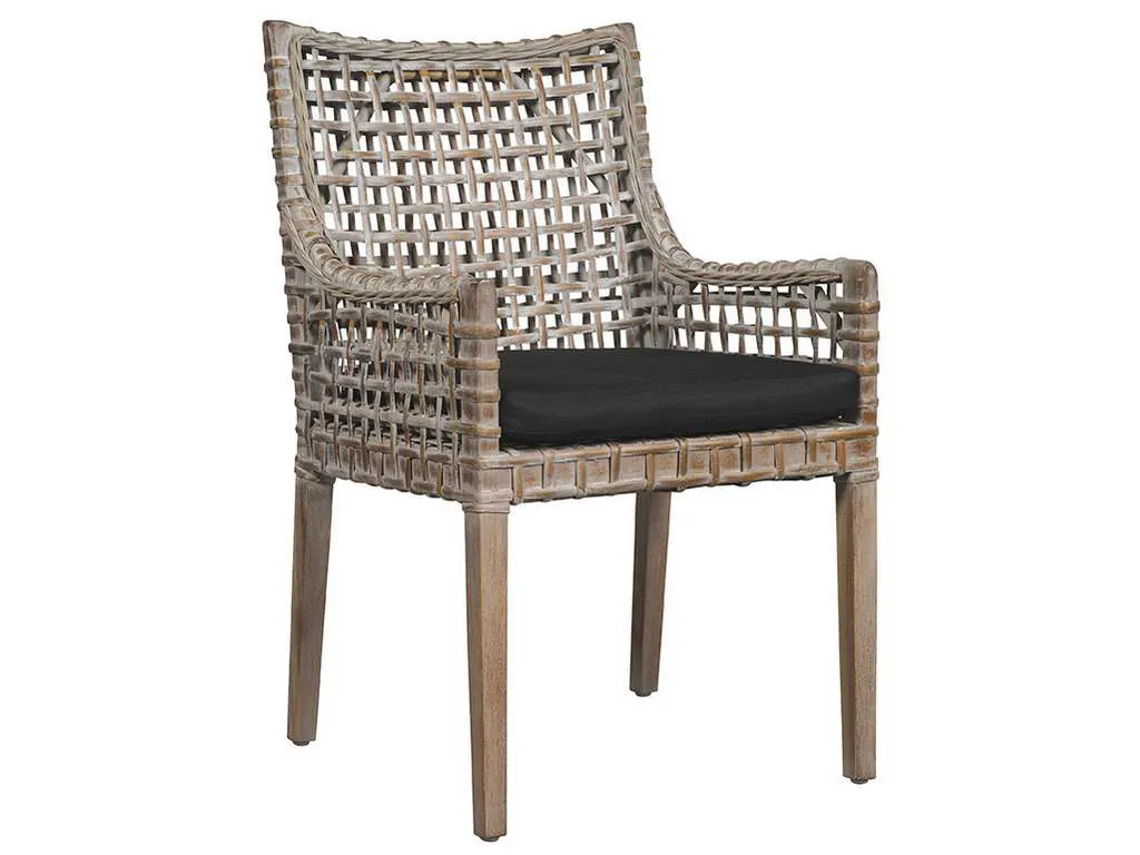 Furniture Classics 18-63  Exodis Arm Chair