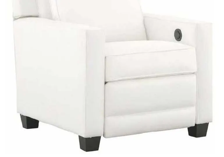 Gabby Home SCH-901231 Lake Recliner Gabby Home SCH-901231 Lake Recliner
