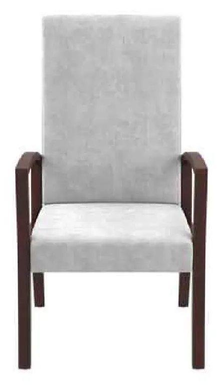 Kellex HC09481-05 Cosima Resident Room Chair Kellex HC09481-05 Cosima Resident Room Chair