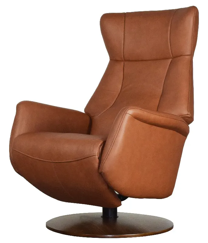 Palliser 50031 Q31 Leather Recliner Palliser 50031 Q31 Leather Recliner