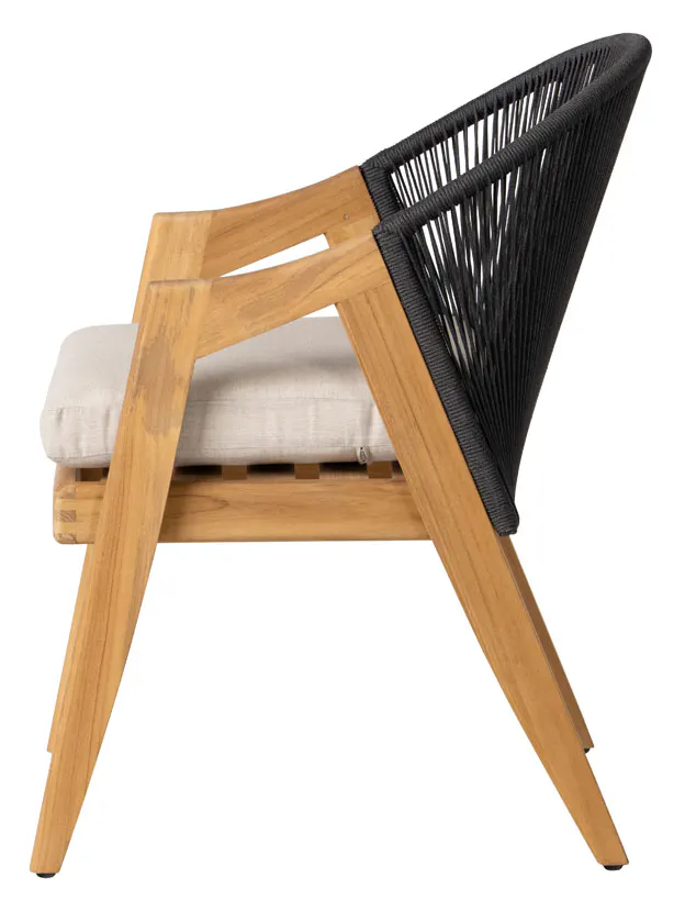 Lloyd Flanders 363001 Alpine Dining Armchair Lloyd Flanders 363001 Alpine Dining Armchair
