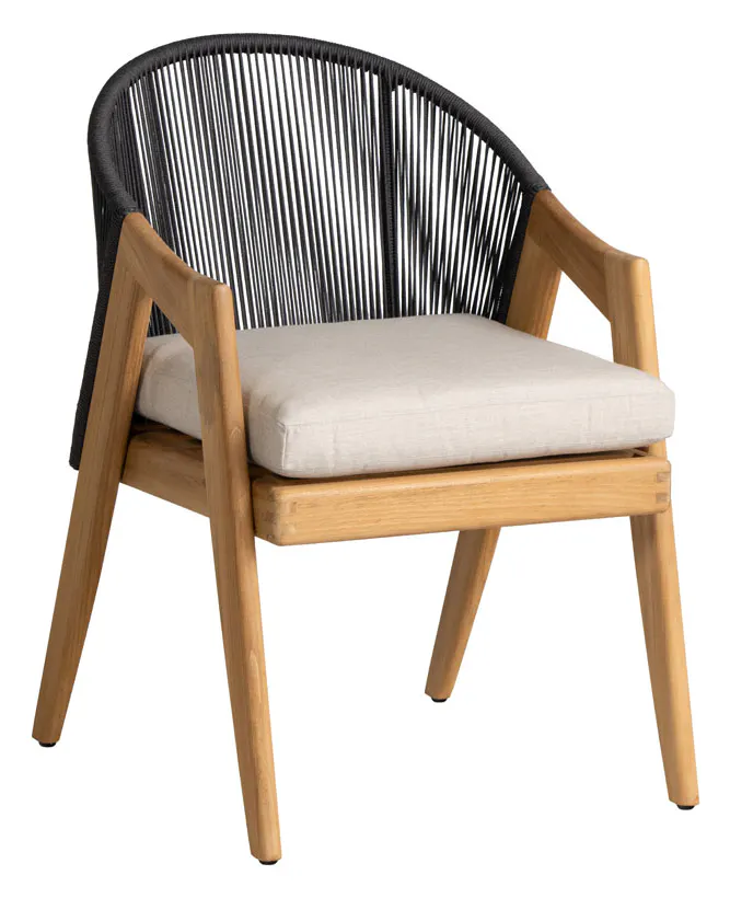 Lloyd Flanders 363001 Alpine Dining Armchair Lloyd Flanders 363001 Alpine Dining Armchair