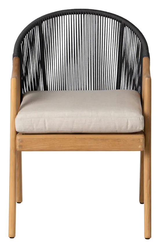 Lloyd Flanders 363001 Alpine Dining Armchair Lloyd Flanders 363001 Alpine Dining Armchair