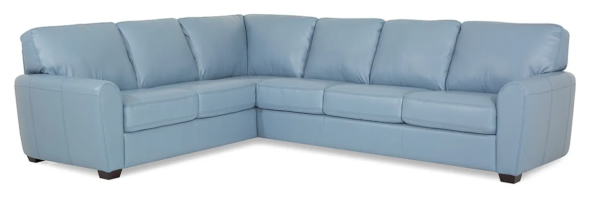 Palliser Furniture 77881 Connecticut Sectional Palliser Furniture 77881 Connecticut Sectional
