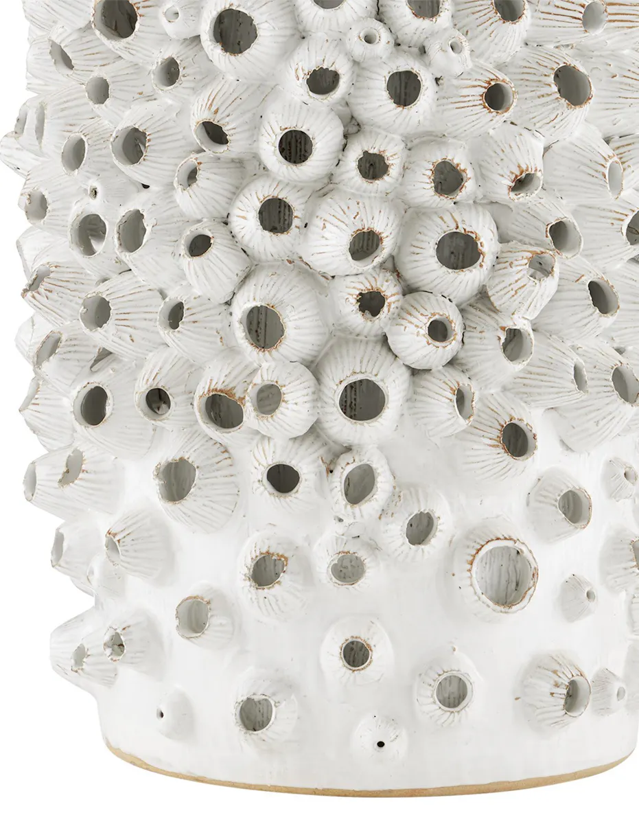 Currey and Company 2000-0033 Barnacle White Accent Table Currey and Company 2000-0033 Barnacle White Accent Table