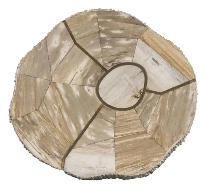 Century Furniture SF6317-V2 Elan Petrified Wood Accent Table Light Century Furniture SF6317-V2 Elan Petrified Wood Accent Table Light