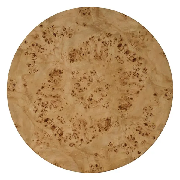 Ambella Home 66018-900-001 Rayne End Table - Burl Ambella Home 66018-900-001 Rayne End Table - Burl